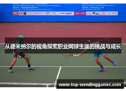从德米纳尔的视角探索职业网球生涯的挑战与成长