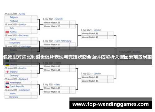 佩德里对阵比利时世俱杯表现与竞技状态全面评估解析关键因素前景展望